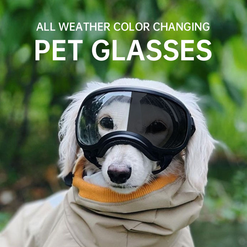 Snow Goggle Uv - แว่นตาเปลี่ยนสีสำหรับสัตว์เลี้ยง ปี 2026, แว่นตาสำหรับสุนัข, แว่นกันแดดสำหรับสุนัขขนาดต่างๆ, แว่นตาสำหรับหิมะ,
