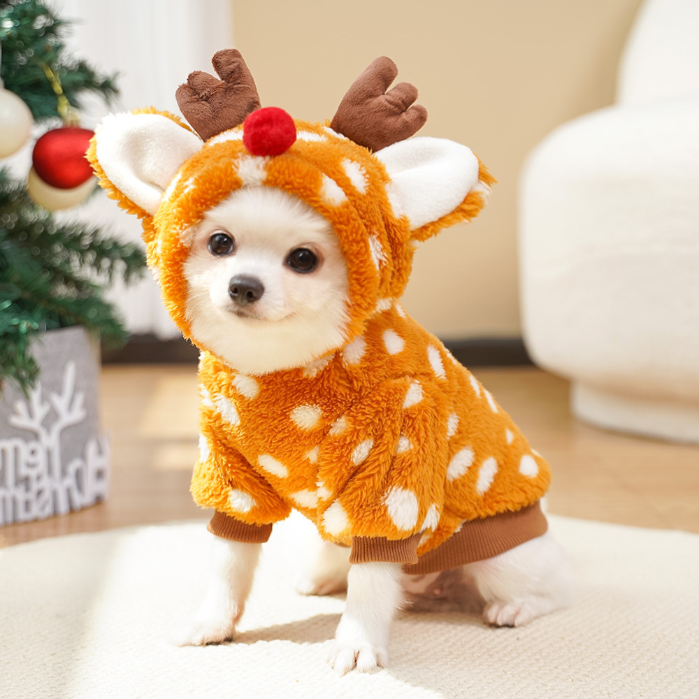 ชุดเสื้อผ้าสัตว์เลี้ยงลายกวางเ - Winter Clothing Must Haves บทวิจารณ์และราคา
