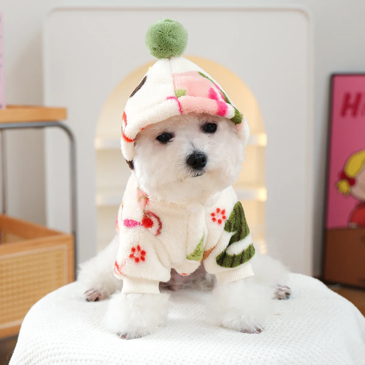 เสื้อผ้าสำหรับลูกสุนัขแบบหนาแล - Winter Clothing Must Haves บทวิจารณ์และราคา