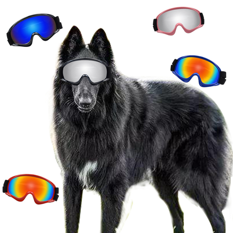 ผลิตภัณฑ์สำหรับสัตว์เลี้ยง แว่ - Snow Goggle Uv บทวิจารณ์และราคา