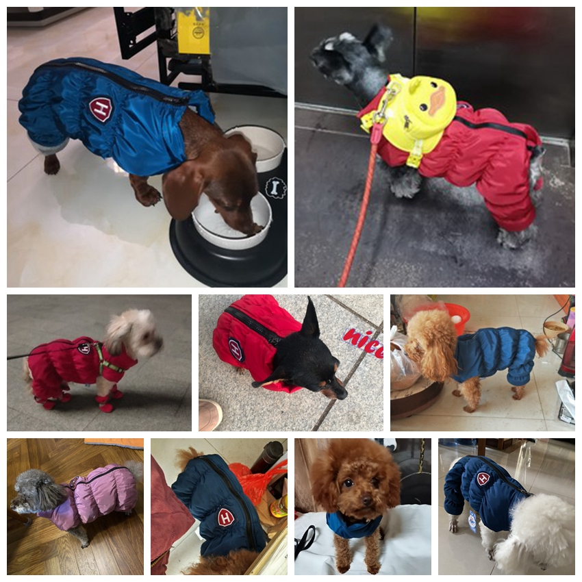 ซิปหิมะ Unisex สุนัขกันน้ํา Ov - Winter Clothing For Babies บทวิจารณ์และราคา