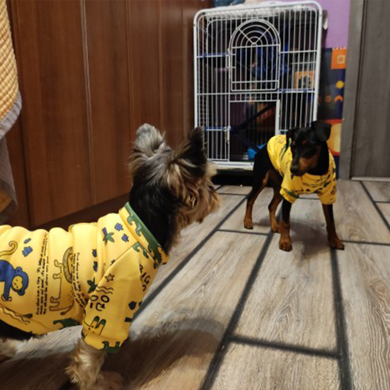 Xs เสื้อผ้าสุนัขสําหรับสุนัขขน - Winter Clothing Kids บทวิจารณ์และราคา