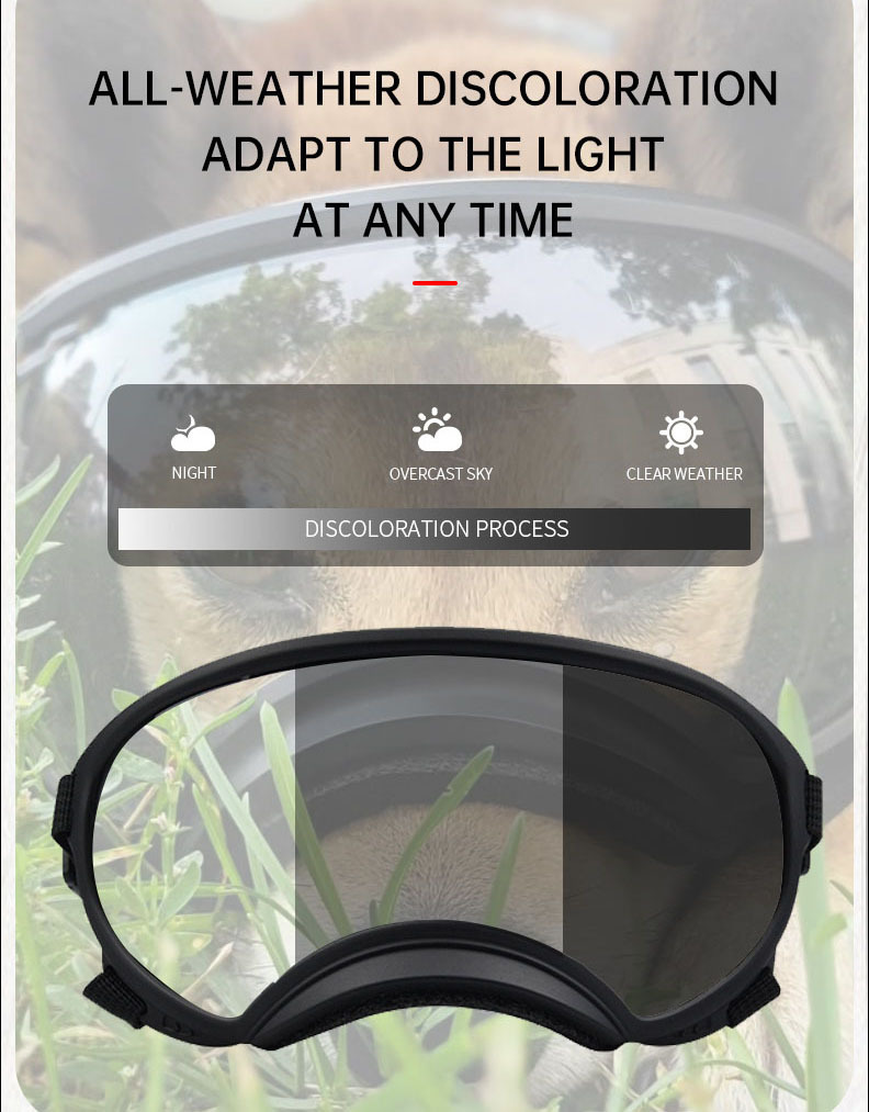 แว่นตาสัตว์เลี้ยงเปลี่ยนสี แว่ - Snow Goggle Uv บทวิจารณ์และราคา